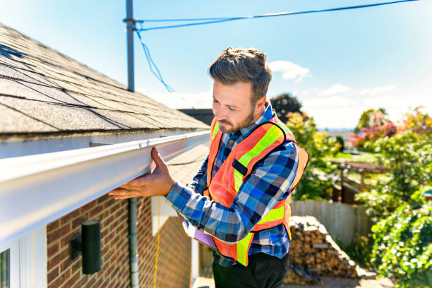 Best Roof Moss and Algae Removal  in Weissport East, PA